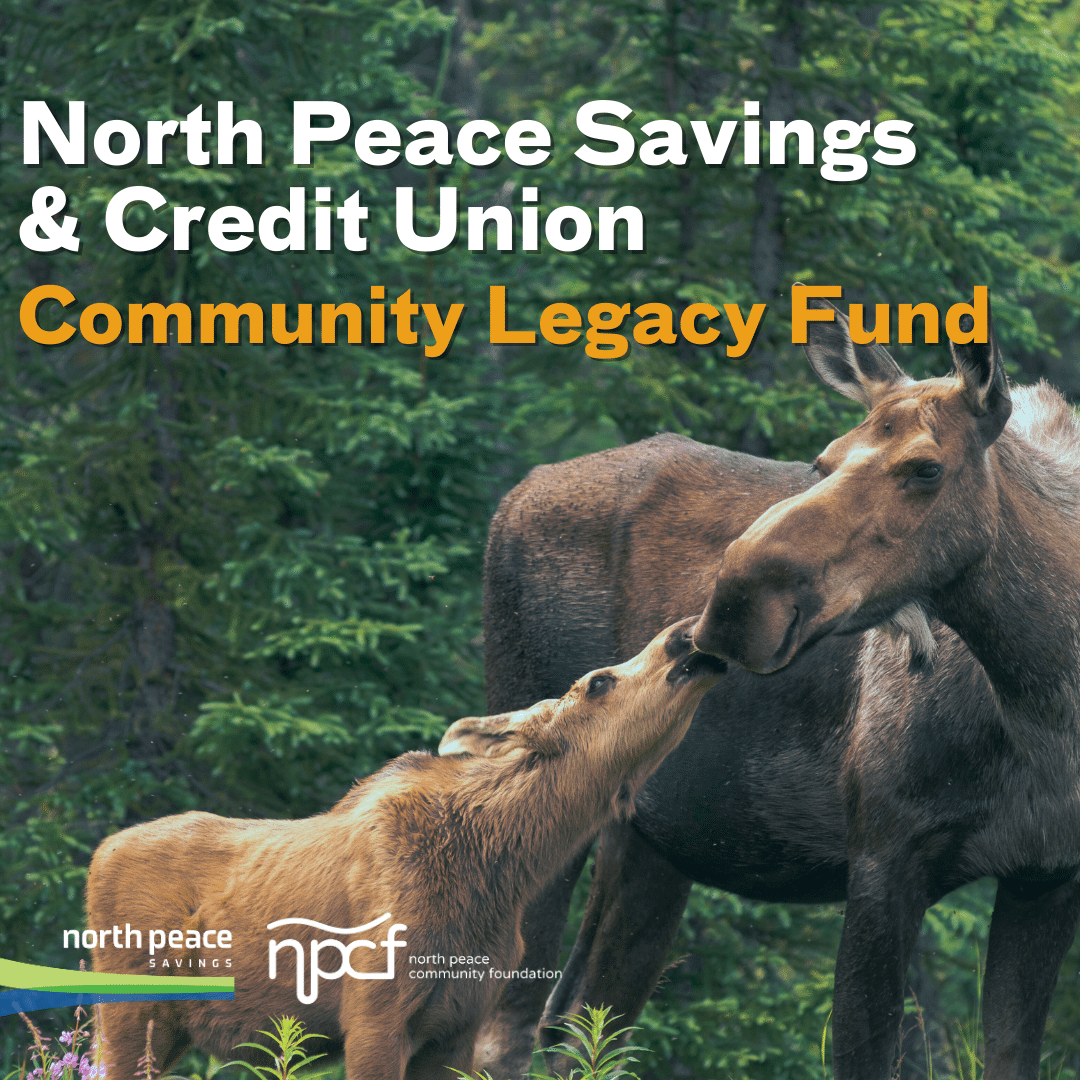 NPS Legacy Fund